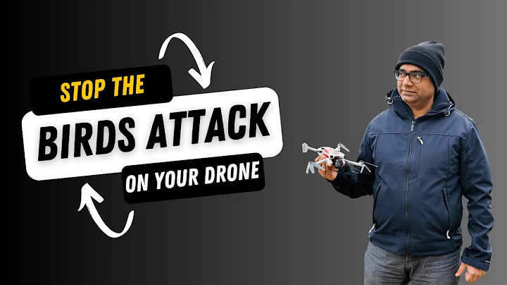 How to save your Drone from Bird Attacks