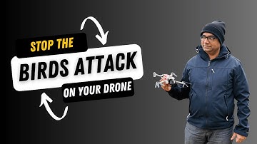 How to save your Drone from Bird Attacks