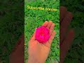 sawan aaye badal chhaye #song #nature #shilpachaurasiya