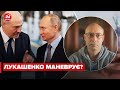 🔴 Путін знову змушуватиме Лукашенка вступити у війну, – ЖДАНОВ