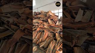 PLATES FOR SALE #arecaleafplate #food #streetfood #areca #business #wholesale #plates #kitchen