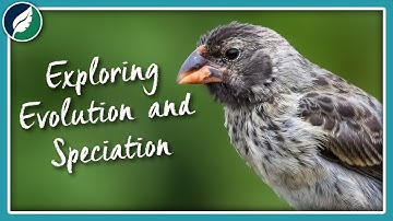 Exploring Evolution and Speciation | Compilation