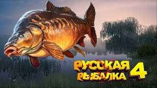 Russian Fishing 4 - ЛОВИМ КИТА!!! Утренняя русская рыбалка #russianfishing4 #русскаярыбалка