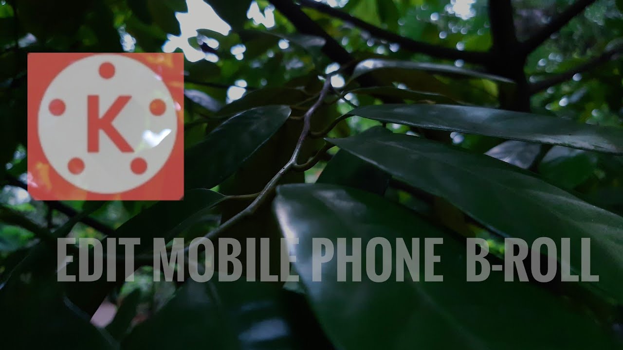 How to edit Cinematic video taken on phone with Kinemaster| Learn to ...