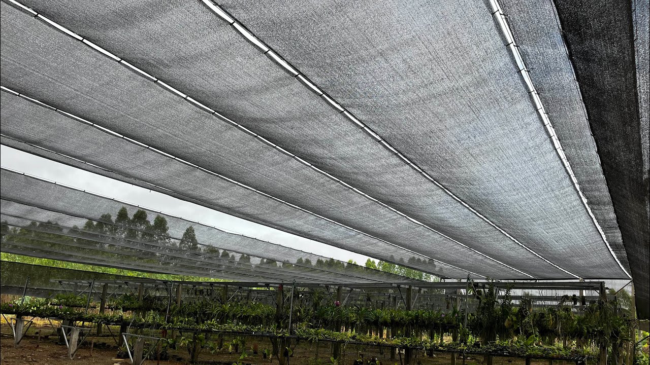 สร้างโรงเรือนกล้วยไม้พื้นที่ 1 ไร่ งบ200,000บาท