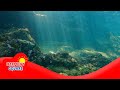 Understanding Benthos