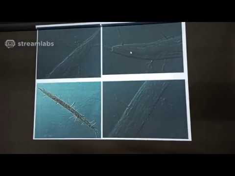 Video: Hoe beheer plante parasitiese nematodes?