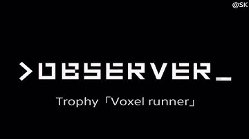 OBSERVER Trophy「Voxel runner」