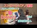 【連弾】猫のピアノで♪猫 DISH//  弾いてみた【ストリートピアノ】