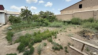 картинка: УРГАНЧ.Ш ЗУР ТОЧКАДА 420М² ЖОЙ УРИН СОТИЛАДИ.☎️+998(99)508 03 65