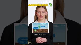 Azotobacter 🦠 (Soil fertile) #shprts