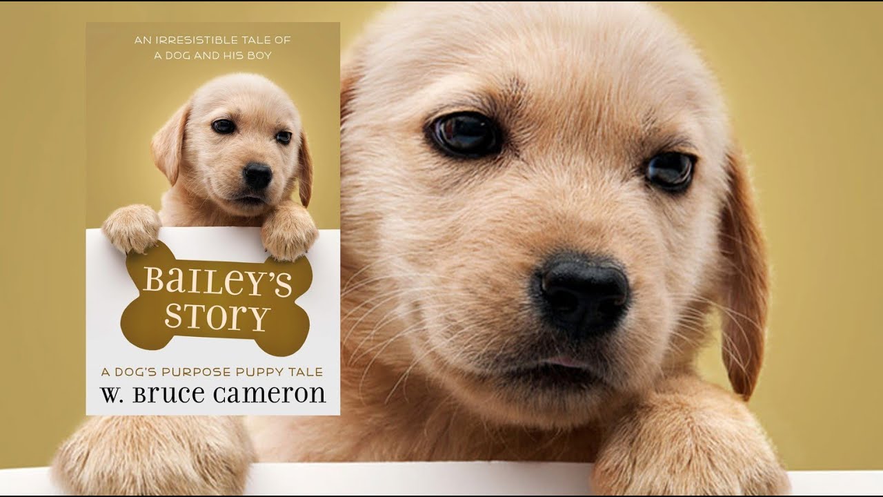 Bailey's Story by W. Bruce Cameron - Chapter 7