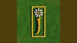 Chameleon Information