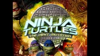 NINJA TURTLES THE NEXT MUTATION THEME SONG