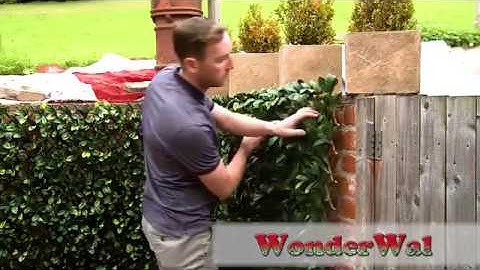 Wonderwal Artificial Trellis