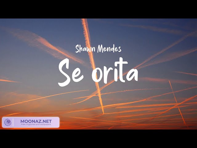 Shawn Mendes - Señorita, Justin Bieber - Love Yourself | LyricsZone class=