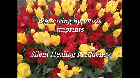 Removing hypnosis imprints Silent Healing Frequency