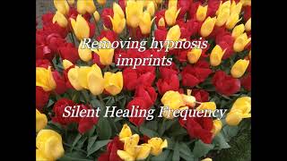 Removing hypnosis imprints Silent Healing Frequency