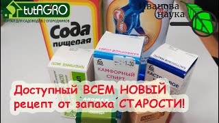 видео: ИЗБАВЛЯЕМСЯ ОТ ЗАПАХА СТАРОСТИ, ГРИБКА, ОМОЛАЖИВАЕМ КОЖУ. ТОЛЬКО РАСТИТЕЛЬНЫЕ КОМПОНЕНТЫ И МИНЕРАЛЫ. картинка: ИЗБАВЛЯЕМСЯ ОТ ЗАПАХА СТАРОСТИ, ГРИБКА, ОМОЛАЖИВАЕМ КОЖУ. ТОЛЬКО РАСТИТЕЛЬНЫЕ КОМПОНЕНТЫ И МИНЕРАЛЫ.
