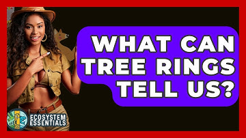 What Can Tree Rings Tell Us? - Ecosystem Essentials