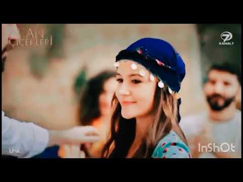 اغنية دبكه ودبيكه الديلبار ديلان باران تصاميمي يامور باريش