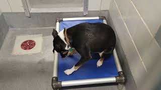 acs A671143