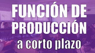 Función De Producción A Corto Plazo