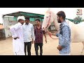 મોમો ભોણો લાયા ઘોડો અને ઘોડી | MOMA-BHONA LAYA GHODO ANE GHODI | NEW COMEDY VIDEO