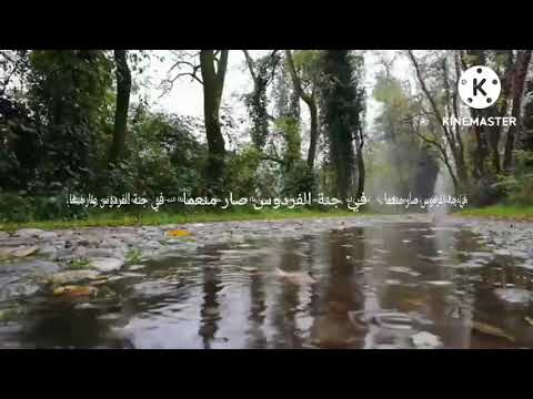 ياربي جودك في الخلائق قد هما