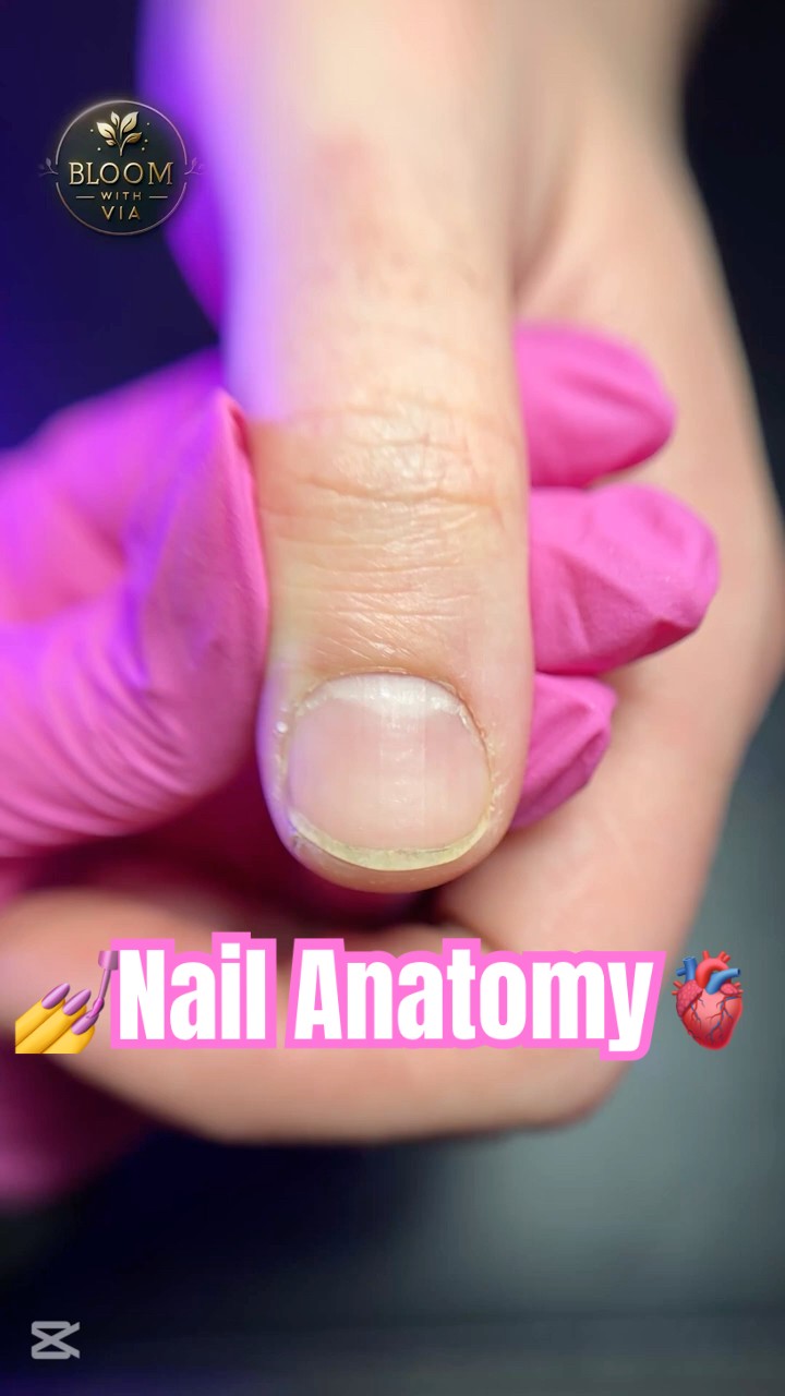 Nail Anatomy Explained in 30 Seconds! 💅 - YouTube