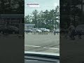 Woman plays role of ‘Mother Goose’ to help birds cross busy street