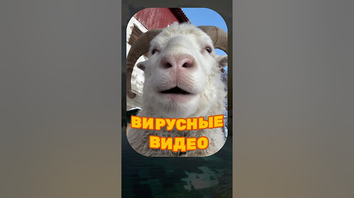 ВИРУСНЫЕ ВИДЕО / Самые смешные животные😂