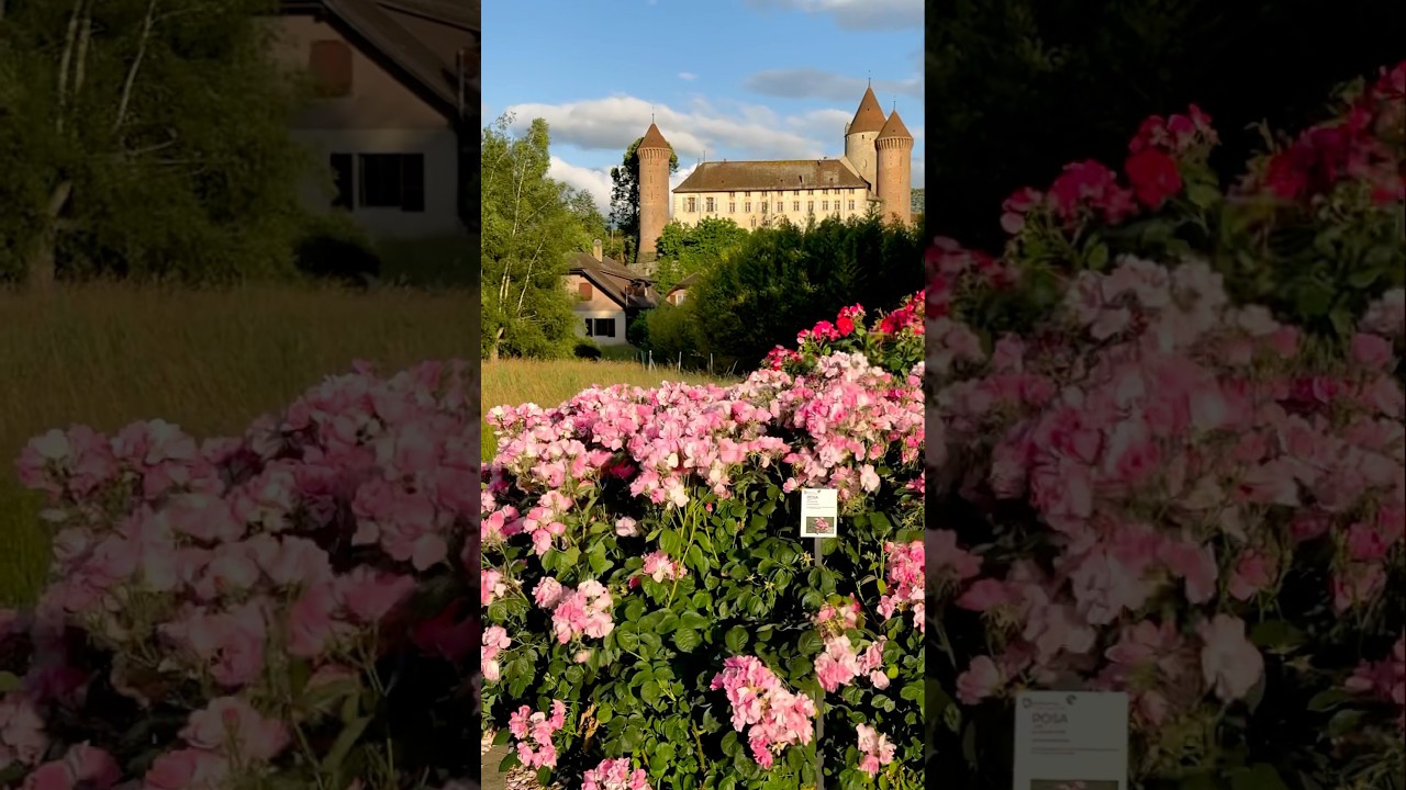 Estavayer-le-Lac: A Hidden Swiss Town Near the French Border 🇨🇭🇫🇷