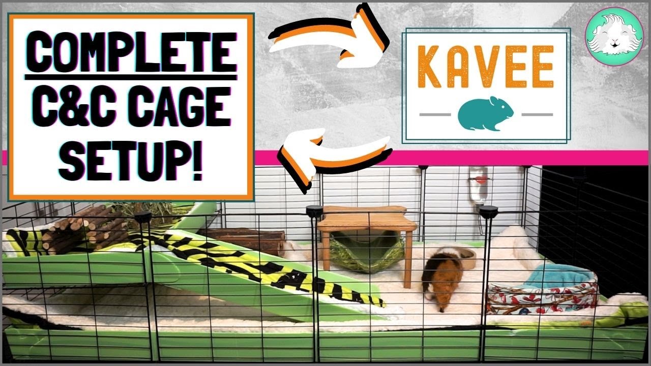 DIY and C&C Cages for Guinea Pigs: Build Your Own! - Squeak Dreams