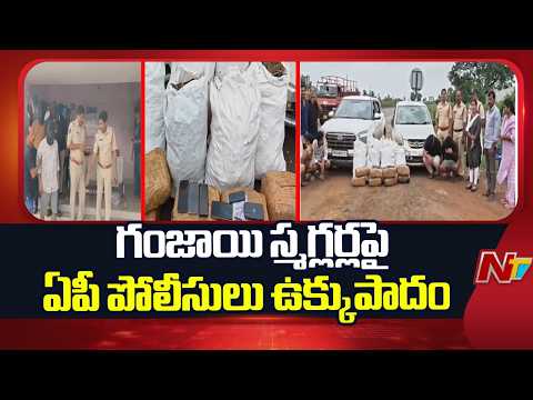 AP: గంజాయి స్మగ్లర్లపై ఏపీ పోలీసులు ఉక్కుపాదం | NTV Telugu - NTVTELUGU