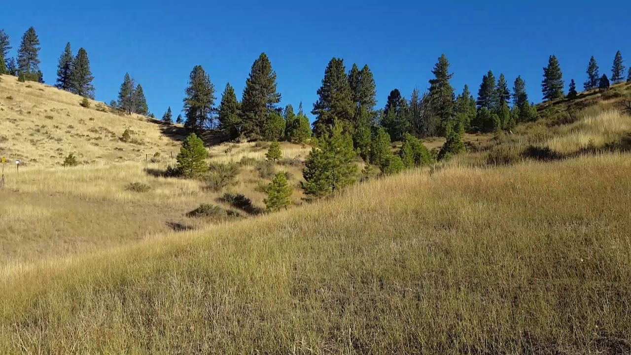 Osprey Land Boise YouTube