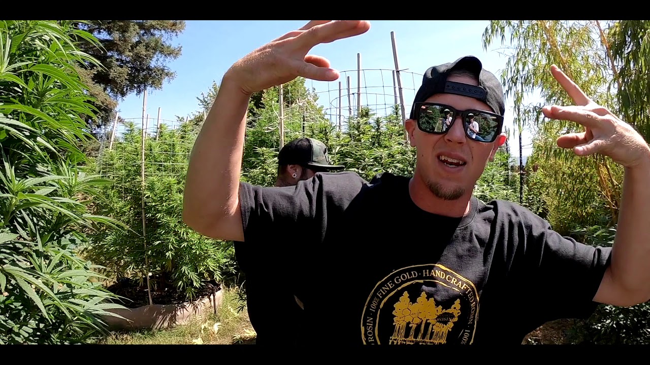 PEZ BRO - OFFICIAL MUSIC VIDEO