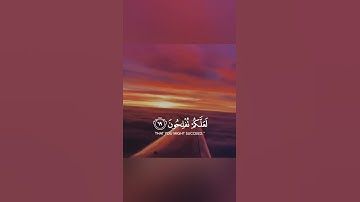 تلاوة مريحة للنفس بصوت جميل جدا الشيخ رعد محمد الكردي حالات واتس اب دينية قصيرة مؤثرة قرآن كريم
