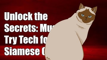 Unlock the Secrets: Must-Try Tech to Keep Your Siamese Cat Entertained!