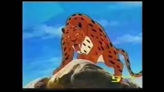 كوكب تاريخ 2002-2003 سبيستون