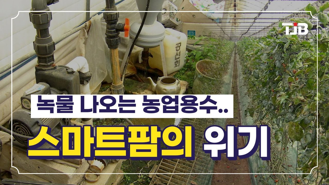녹물 나오는 농업용수..스마트팜의 위기｜ Tjb 대전·충남·세종뉴스 - Youtube
