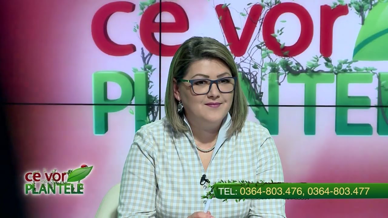 VIDEO Dr. Ing. Horia Ghibu - Ce insecticid folosim la pomii fructiferi, în funcție de faza de vegetație 1 VIDEO Dr. Ing. Horia Ghibu - Ce insecticid folosim la pomii fructiferi, în funcție de faza de vegetație YouTube player
