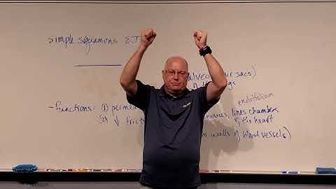 Professor Long 2401 Lecture 2.2 Epithial Tissues