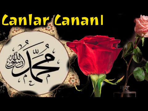 Canlar Cananı Muhammed / Müziksiz İlahiler Kanalı