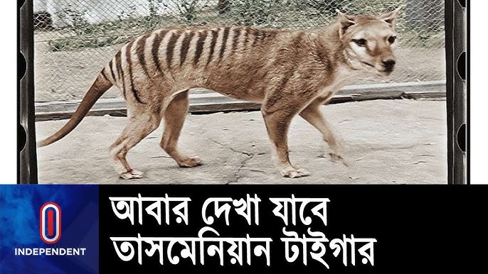 Қыздардың бөкселерінің эротикалық фотосуреттері Пенистегі шарлармен секс видео