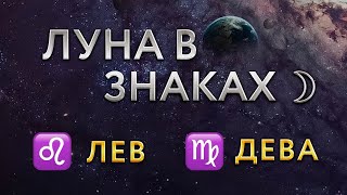 ЛУНА В ЗНАКАХ ЗОДИАКА. Луна во Льве, Деве. Астролог Алла Суходольская.