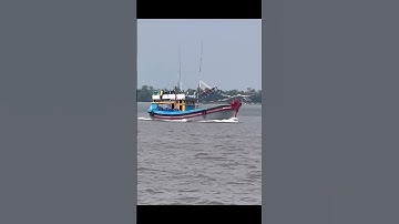 Tàu về Cảng cá Trần Đề/SEN TRẮNG TV