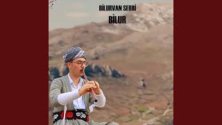 Kaval - Bilurvan Sebri