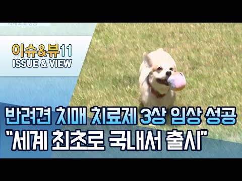 반려견 치매 치료제 <strong>임상3상</strong> 성공…&amp;quot;세계 최초로 국내서 출시&amp;quot;  / 머니투데이방송 (뉴스)