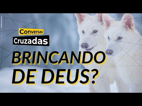 Lobo-terrível voltou da